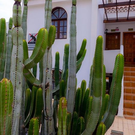 Las Bouganvillas 1 Bed Apartment In Costa Adeje Luaran gambar