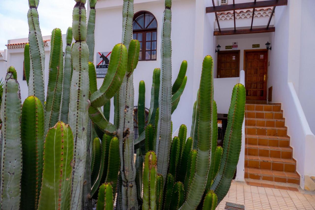 Las Bouganvillas 1 Bed Apartment In Costa Adeje Luaran gambar